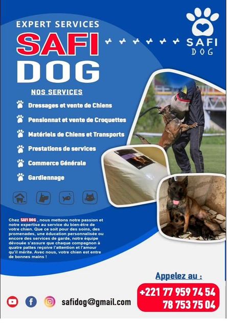 20 kg premium dog food bag