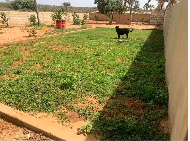 View of the safiDog center with a Rottweiler